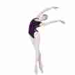 Sansha Paars Balletkleding voor Dames 