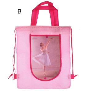 Alista Roze ballettasje met ballerina B