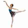 Capezio 1290 balletrokje met print 