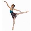 Capezio 1290 balletrokje met print 