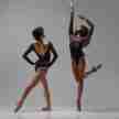 Ballet Rosa Dames Balletpak Fenix models